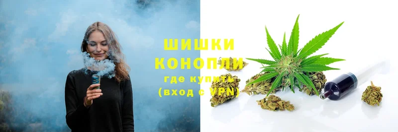 продажа наркотиков  Новомичуринск  Бошки Шишки SATIVA & INDICA 